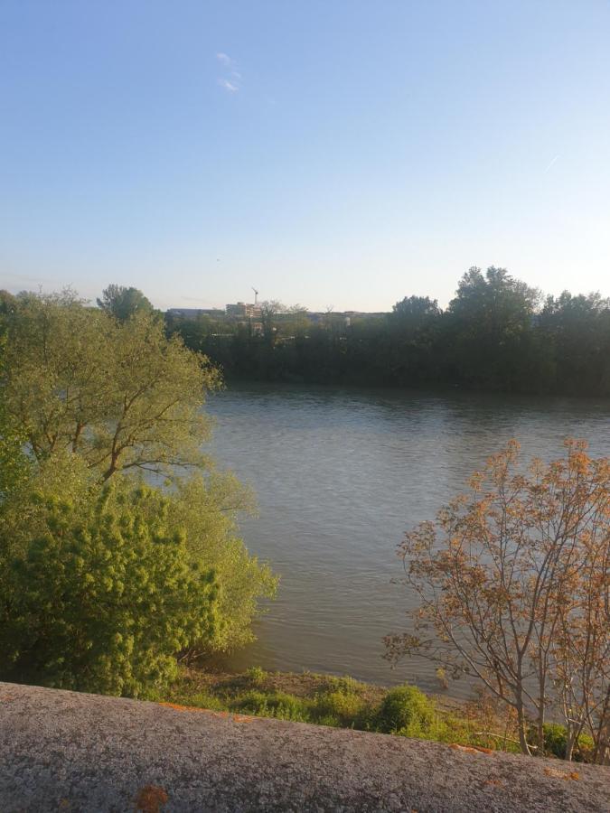 Appart Cosy Sur Berges De Garonne Pour Vacances & Affaires Toulouse Buitenkant foto